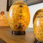 Domus Altiora Centro Daire