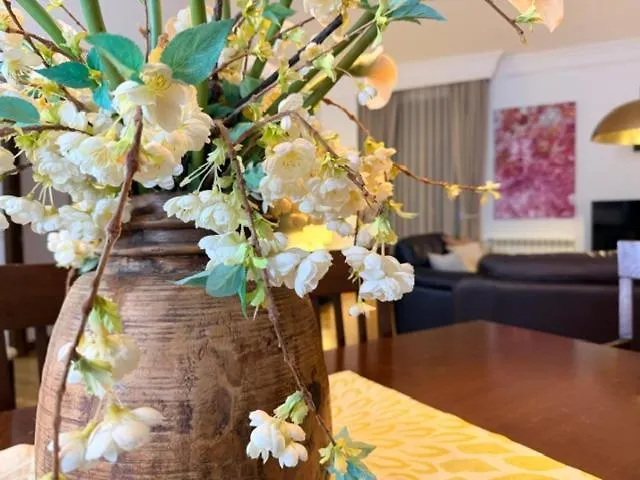 Domus Altiora Centro Appartement